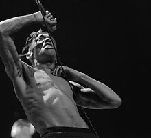 Tricky Is Noisy by rorycobbe
