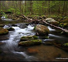 Crossing Roaring Fork, GSMNP by ThomasRBiggs
