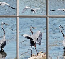 BIRD PANEL by Paul Quixote Alleyne