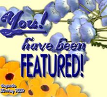 'Nother banner- by Dayonda