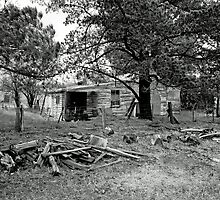 This Old House by Pauline Tims