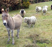 Ruben and friends by dozzam