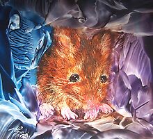 Little Mousey by Tezz