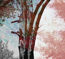 SMALL FOREST by Paul Quixote Alleyne
