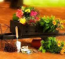 As My Garden Grows by Trudy Wilkerson