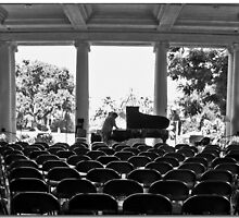 Piano Tuner by Chet King