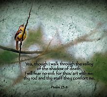 Psalm 23 by Bonnie T. Barry