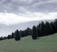 GROVE by Paul Quixote Alleyne