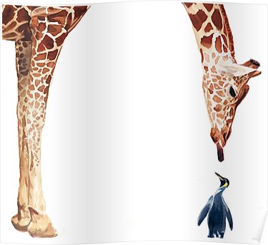 Giraffes And Penguins