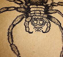 The Tarantula Would Have To Save Up For Seven Months To Afford Four Pairs Of Brogues by DavidBaddeley
