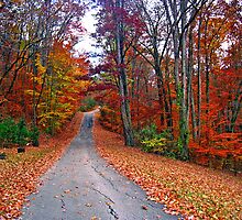 *MY FAVORITE COUNTRY ROAD* by Van Coleman