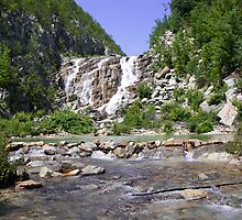 Long Pine Run Falls by Ann Rodriquez