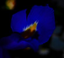Reaching To Heaven by laureenr