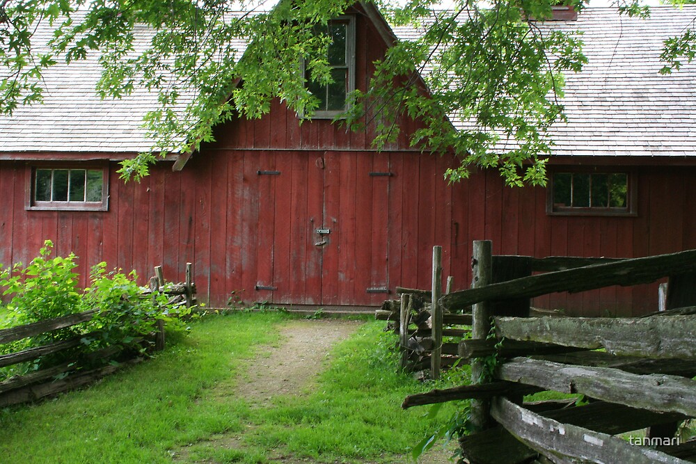 "Old hog barn, John.R. Park Homestead " by tanmari Redbubble