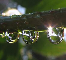 Sun reflected in Pearls by Hans Bax