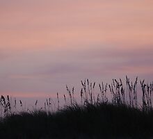 The day ends over the dunes by CCCreations