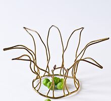 Peas by Ilva Beretta
