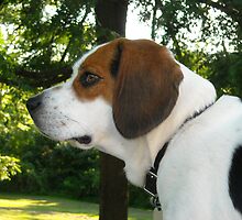 Patch by debbiedoda