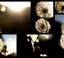 Dreams are soft thoughts that are blown in by the wind and grow in your mind by Fiona Christensen