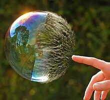Half Gone Bubble by Richard Heeks