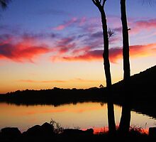 Laurieton, NSW by babynomad