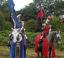 Knights of Old by Dawn B Davies-McIninch
