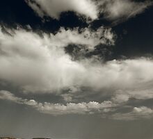 °°° NOone °°° by suncent