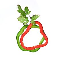 Red and Green Peppers by Drew Gregory