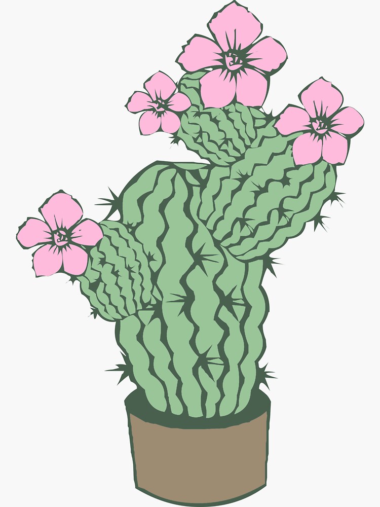 Cactus With Pink Flowers Sticker For Sale By Synthesizer Redbubble