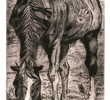 Crazy Horse by neal farncroft