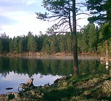 heaven on earth by gene mcfarland