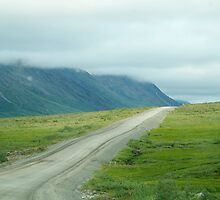 The Dalton Highway by Dandelion Dilluvio