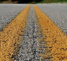 Perspective of a recent roadkill by Qiaa
