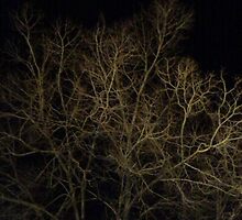 Cerebral Limbs by AspectJones