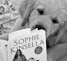 Love... a good read by Judy Will