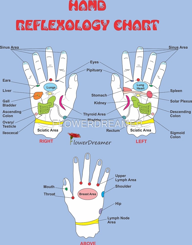 Hand Reflexology Chart by FLOWERDREAMER Redbubble