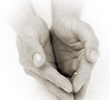Hands: Receiving by Lenka