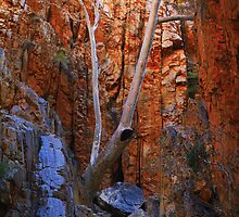 Standley Chasm, Northern Territory-Australia by kateabell