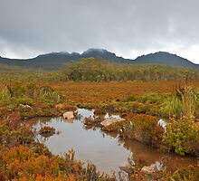 Devil's Backbone by Chris Cobern