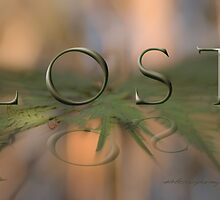 L O S T L O O S E © by Vicki Ferrari