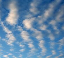Bony Clouds by starlitewonder