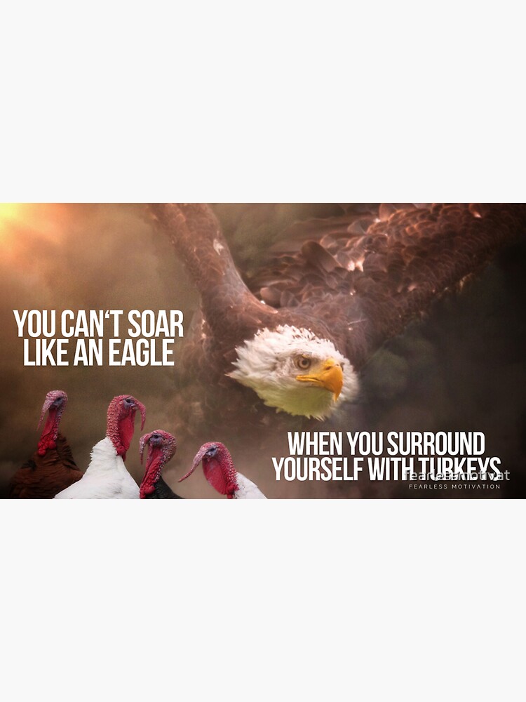 You Can T Soar Like An Eagle Sticker For Sale By Fearlessmotivat