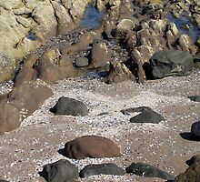 Portrait of a landscape (and vice versa) by Hélène David-Cuny