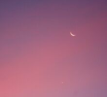 Deep Pink Moon by starlitewonder