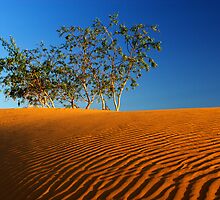 Perry Sandhills by Darren Stones