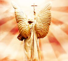 Angel of Victory by Malgorzata Larys