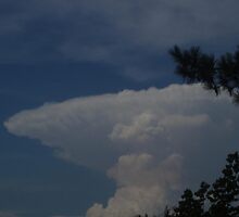Guess that Cloud! by Johanna Rutter