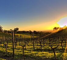 Blinding Sun by Jamie Druitt