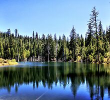 Spalding Mill Pond by Stephen Van Tuyl