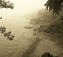 A Quiet Place by Mark Odland